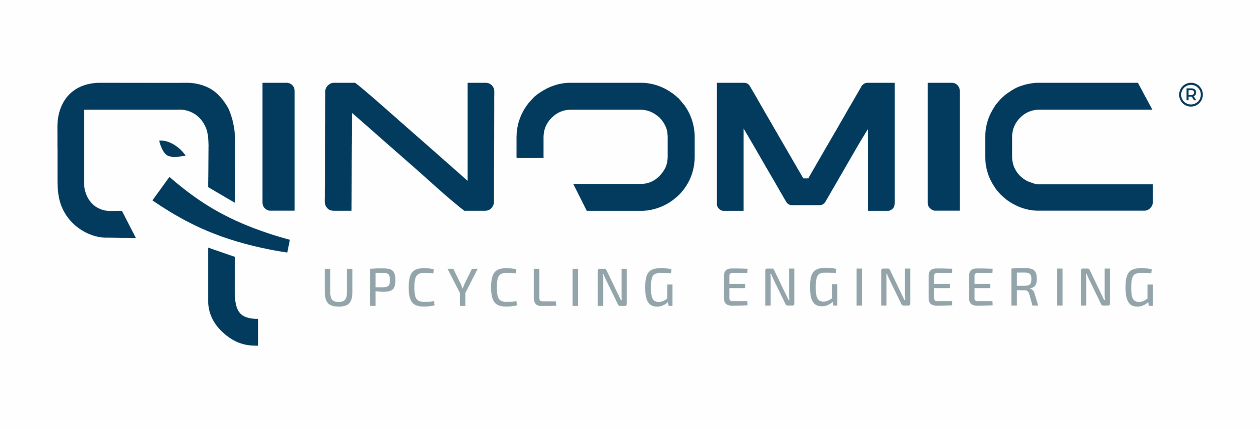 LOGO_QINOMIC+TAGLINE_BLEU